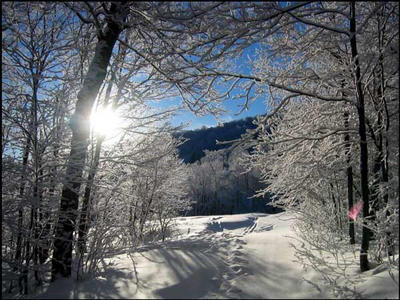 Stratton Snow Path