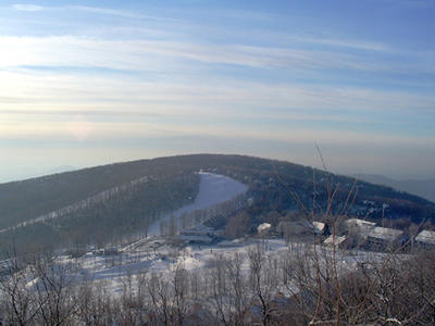 Wintergreen