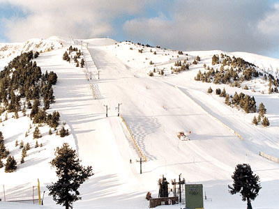 Masella