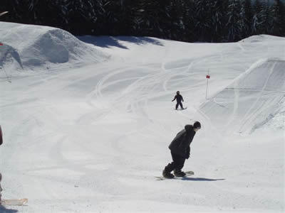 Grouse Mountain