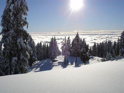 Mount Seymour - Andy Boniface