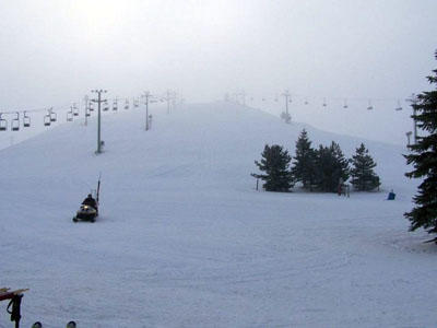 Brighton Resort