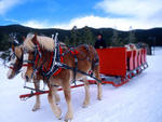 Keystone - Sleigh ride at Keystone