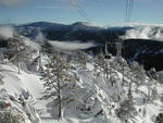 Squaw Valley - Fresh Powder at Squaw