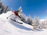 Stowe - Stowe Skier  