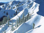 Alpine Meadows - Alpine Meadows  