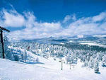 Bear Mountain - Bear Mountain  