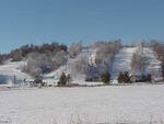 Welch Village - Welch Village  