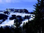 Snowshoe - Snowshoe   
