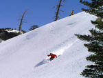Bear Valley