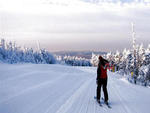 Stratton - Marking the trail 