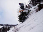 Snowbird - Snowbird   