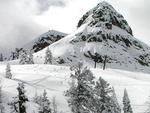 Bear Valley - Bear Valley Splendor 