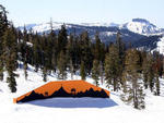 Boreal - Lost Dutchman - Boreal