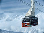Snowbird
