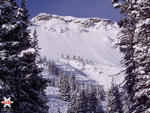 Alta - Fresh tracks down the