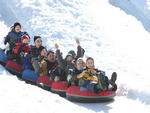 Bryce Resort