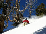 Solitude - Solitude Mountain Resort 