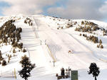 Masella