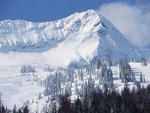 Fernie