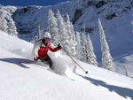 Fernie - Fernie Alpine Resort -