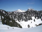 Grouse Mountain - Grouse Mountain  