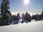 Mt. Seymour - Mount Seymour - Andy