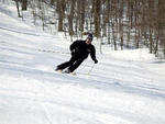 Bristol Mountain - Bristol Mountain  
