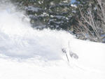 Powder Mountain - Powder Mountain  