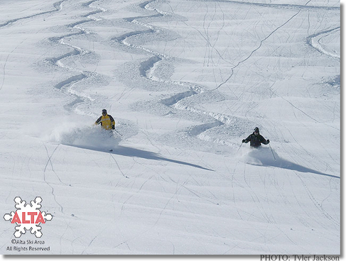 Powder turns