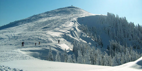 La Roche