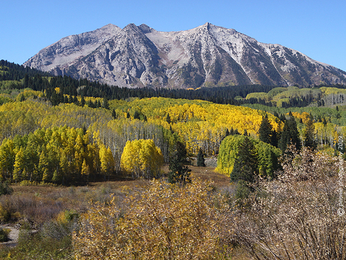 Color Check on the Other Side of Kebler      : : : : : : : :   
Monday’s second shot is of one of the Beckwiths and is a pretty good representation of the fall color on the back side of Kebler Pass.  While the colors are a bit muted compared to what I remember seeing in past years, some groves of aspen are just snow starting to go gold.  We saw some haze in the valleys around CB, especially Saturday, likely from the latest round of California wildfires.  It seemed to dissipate Sunday . . . hopefully fire crews have gotten the upper hand out there.  
      : : : : : : : :   There were plenty of leaf watchers and photographers on Kebler Pass Road, checking out the colors.  If you are up there and are stopping to take in the views, please remember to pull your vehicle at least partially off the road, especially when parking in a blind corner.  There was one gentleman who managed to not only park his truck fully on the road in such a corner, but also set up his tripod on the edge of the other lane, so that you were almost touching his backside and his truck at the same time with your rearview mirrors as you squeezed through.  Maybe continuing on to a safe place to park and then walking back with your camera would be a better idea?  Doing so will let everyone enjoy the colors along Kebler Road that much more.  If we get some snow later in the week, it’ll be especially gorgeous!
      : : : : : : : :   Have a super-duper start to your week out there and we’ll see you tomorrow.   
