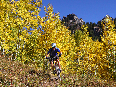 A Fabulous Weekend of Fall Color and Super Single Track in Crested Butte!      : : : : : : : :   
What a weekend in Crested Butte, huh?  Clear blue skies, temps topping out in the mid sixties, fall colors still hanging in there—it was great!  Sunday morning I made it out for a ride on the Dyke Trail.  The leaves were nice in spots like the one in today’s first shot.  That’s Ty “fighter” Minnick rolling down the Dyke Trail, backed by the changing aspen, with a bit of the Dyke, itself, sticking up in the background.  Ty and I were both commenting on how it would have felt to finish Saturday’s Crested Butte Classic with the lung-busting, stinger climbs that the Dyke Trail serves up (to say nothing of the climb back over Kebler Pass to CB when you’re done with the single track) in the big ride.  But I guess if you can handle #403, #401, Deer Creek and Strand, what’s the big deal about throwing in the Dyke Trail for a cool down?  Like I’ll ever know . . .  
      : : : : : : : :   Get the gorgeous fall weather while you can . . . the forecast is showing the next round of moisture blowing in Tuesday afternoon.  Watch for more white peaks later in the week.  Check out Monday’s second shot . . . 
