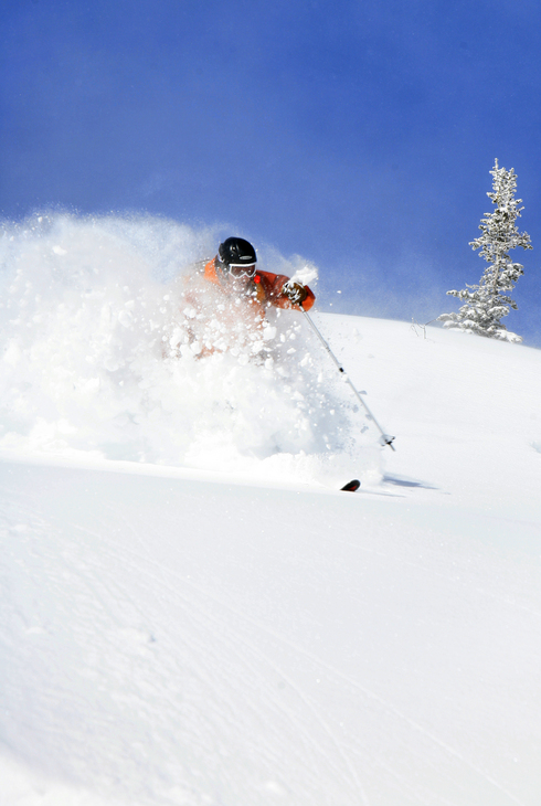 Powder Shots!