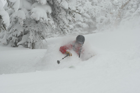 Freshies on January 25,2010
Photo Credit: Kevin Cass, Powder Day Photography
